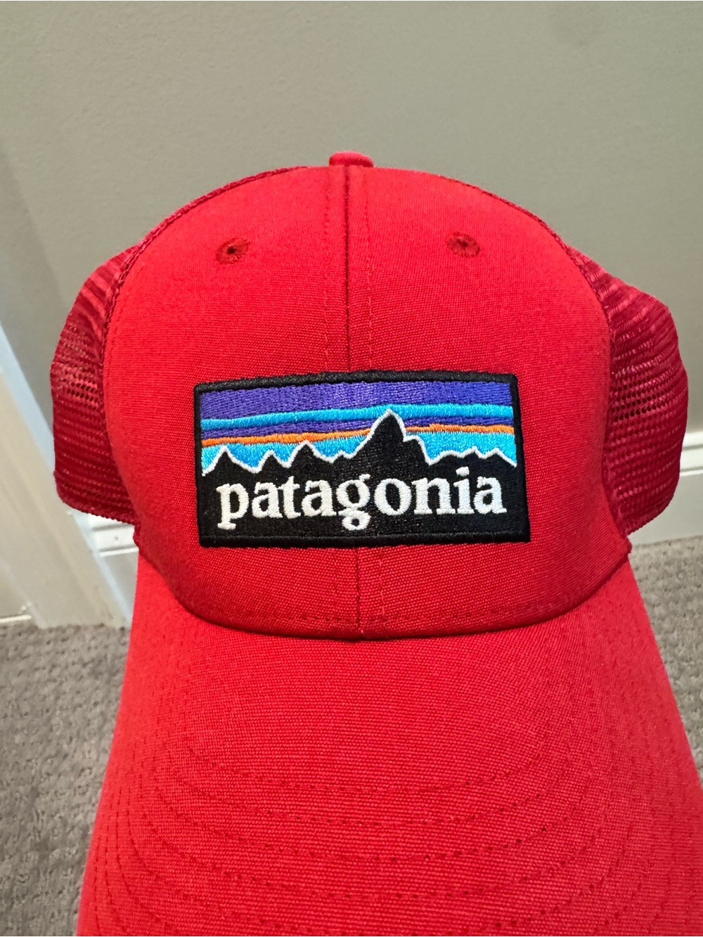 Patagonia Red Trucker Hat with Multicolor Logo